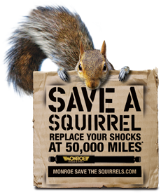 MONROE SHOCKS & STRUTS: Save A Squirrel