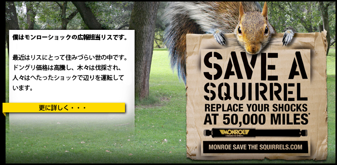 MONROE SHOCKS & STRUTS: Save a Squirrel