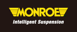 MONROE SHOCKS & STRUTS: CVSA